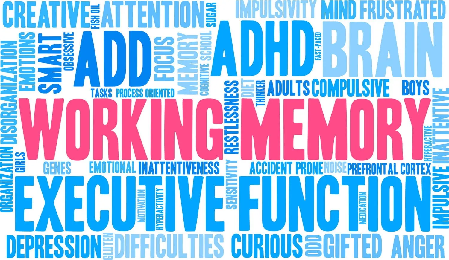 Executive Functioning - Frankenberger Associates Learning Solutions Center